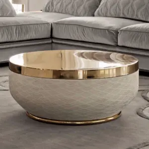 Furnistyle Light Luxury Modern Round Simple High End Stainless Steel Coffee Table for Living Room Apartment