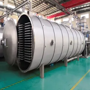 Industrial Lyophilizer Large Capacity Freeze Drying Equipment Machine Frozen Fruits Vegetable Pet Snacks Vacuum Dryer