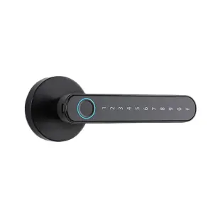 WiFi Smart Door Lock with Zinc Alloy Digital Touch Screen Keys for Steel & Wood Doors Cloud Data Storage Option