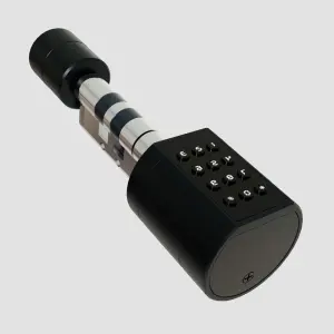 European TTLOCK APP Keyless Replacement Cylinder Wireless Smart Lock