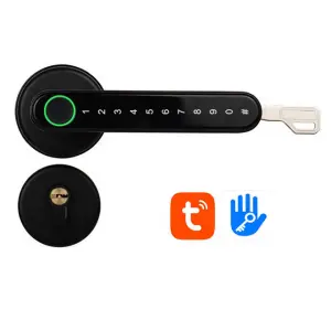 Topping H3 Indoor Smart Keyless Entry Fingerprint Door Lock 110 Fingerprint Capacity Tuya/TTLock APP 2-Year Warranty Zinc Alloy