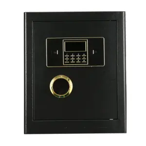 Weichi Factory Customized Steel Locker Luxury Smart Safe Box Coffre Fort Electronic Digital Two Keys Safes 45x38x31cm Indoor