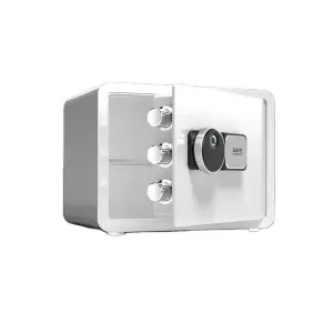 Mini Safe Household Small Anti-Theft Safe 25CM Office File Fingerprint Storage Smart Safe for Money