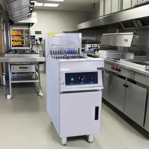 Wholesales 25L Single Tank Restaurant Equipment Fryers Stainless Free Standing Electric Deep Fryer