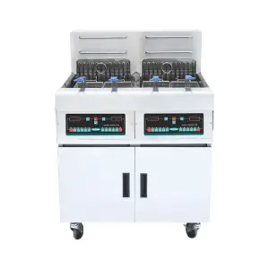 New Arrival Stainless Steel Kitchen Commercial Electric Deep Fryer 2 Tank Deep Fryer for French Fries