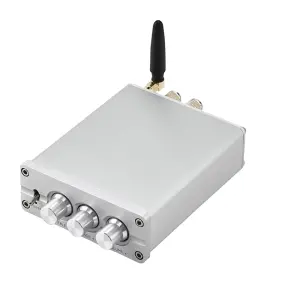 2.0 Home Amplifier 300W High Power D-Class Digital Bass Tuned for Blue-tooth 5.0 Power Amplifier for Home Use