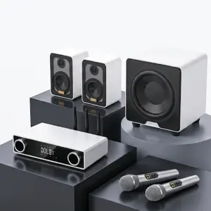 2025 New 5.1 Channel 5G Wireless Audio System Connects to the Home Audio and Video Set with a Wireless Microphone Hifi Speakers