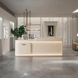 Modern Simple Lacquered Bar Counter Reception Desk for Beauty Salons Medical/Dental Clinics Clothing Schools/Hospitals Wood