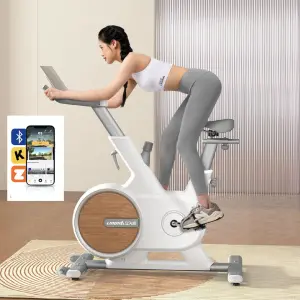 Lijiujia Hot Selling 6kgs Flywheel Weight Manual Magnetic Indoor Exercise Bike Profesional Spinning Bike