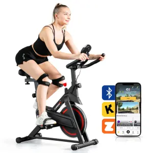 Lijiujia Factory Wholesale Wool Felt Spinning Bike for Home