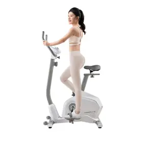 Lijiujia New Manual Magnetic Brake System Indoor Fitness Cardio Home Use Exercise Bike Upright Bike