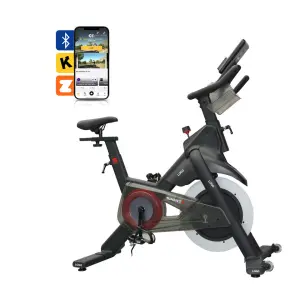 Lijiujia Wholesale Professional Indoor Fitness Equipment Home Use 13kgs Flywheel Spinning Bike