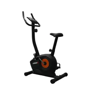 Lijiujia Unisex Indoor Fitness Exercise Bike 3Kgs Flywheel Weight Upright Spinning Bike Home Gym Use Steel