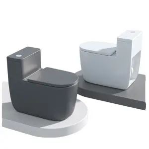 Customized Wholesale Low-price White and Black Floor-standing Simple S-shaped and P-shaped Bathroom Flush Toilets