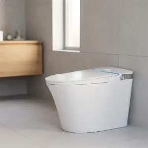 2026 New Model of Built-in Foam Integrated Fully Automatic Infrared Therapy and Ultraviolet Sterilization Home Smart Toilet