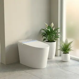 Customized Wholesale Intelligent Automatic Luxury New Design Integrated White Temperature Display High-end Smart Toilet