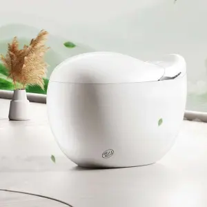 Whale-shaped Egg-shaped Luxury Intelligent Water Spray Heating Remote Control S-shaped Steam Trap Drainage Smart Toilet