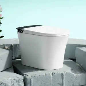 Multicolor Modern Design HD Display Intelligent Elongated Ceramic Floor Mounted Automatic Smart Toilet with Remote Control