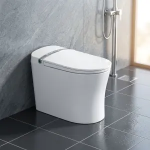 Modern Multicolor Design Elongated Floor Mounted Smart Toilet Heated Seat Dual-Flush Automatic Operation Remote Control Included