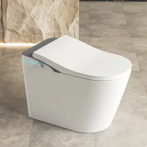 Modern Design One-Piece Dual-Flush Smart Ceramic Toilet Bowl Bidet Floor Mounted Automatic Electric Bathroom S-Trap Drainage