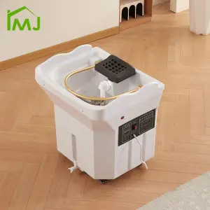 Salon Head Spa Equipment Massage Mobile Shampoo Sink Portable Hair Wash Basin
