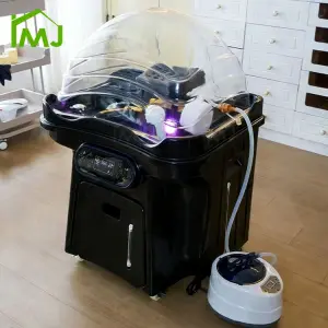 Portable Shampoo Sink Hair Salon Mobile Head Spa Basin With Water Circulation and Steamer