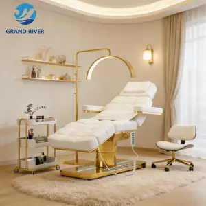Beauty Salon Gold Base Fabric Lash Chair Electric Beauty Bed Salon Massage Table and Bed for Eyelash Facial Bed 4 Motors