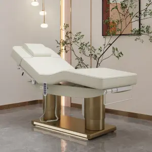 Intelligent Heating Electric Micro Tattoo Surgery Injection Bed for Beauty Salon Elevating Table
