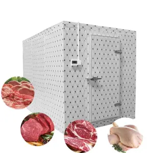 Factory Direct Sales Logistics Cold Storage Freezer Cold Room Project Walk in Chiller and Cooler for Ski-resort/ice rink/travel