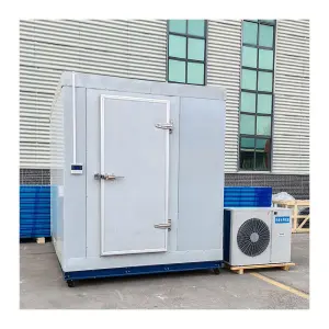 -60 Degrees Freezer Cold Storage Room