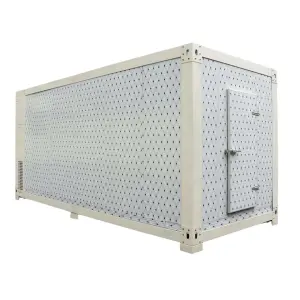 Tanzania 6m Cold Storage Cold Room Refrigeration Camera for Sea Food Cold Chamber for Ice Cream Freezer