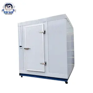 Customizable 40ft Container Quick Freezing Litchi Blast Freezer Hotel Frozen Storage Cold Room Storage on Sale