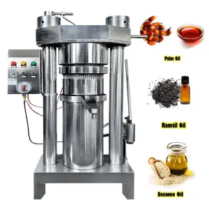 Organic Sunflower Oil Pressing and Refining Mini Machine Olive Plant Hydraulic Oil Cold Oil Press for Home Use in South Africa