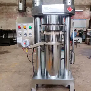 Small Type Mustard Seeds Oil Extraction Machine Hazelnuts Cold Press Machine Olive Hydraulic Cold Avocado Oil Pressing Machine