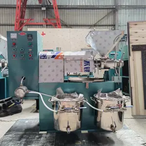 Automatic Screw Press Palm Oil Seed Oil Expeller Castor Screw Cashew Oil Press 800kg Machine