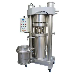 Avocado Oil Processing Machine Stainless Steel Oil Press Machine Mini Oil Extractor Machine