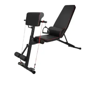 Premium Multi-functional Dumbbell Bench for Weight Training1