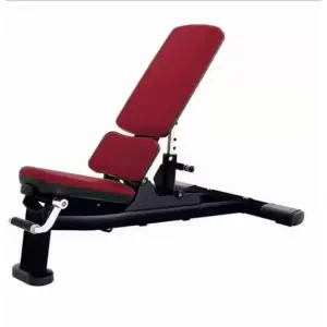 Commercial Weight Lifting Gym Adjustable Weight Bench for Body Workout1