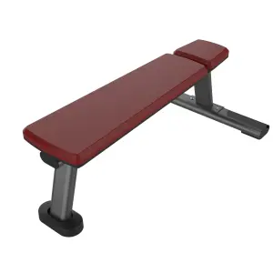 Multi Purpose Flat Adjustable Dumbbell Bench Gym Strength Workout Equipment 2026