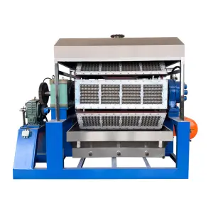 Fuyuan Hot Sale 3000 Pcs Pulp Egg Tray Machine for Making Egg Tray