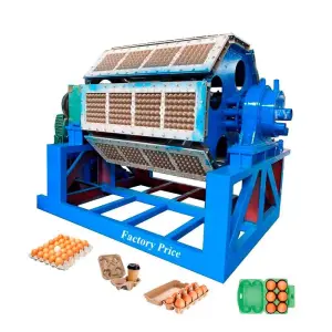 Fuyuan Factory High Production Speed and Efficiency Wine Cake Tray Forming Machine