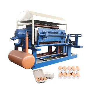 Fuyuan Fully Automatic Egg Tray Making Machine with Gearbox and Motor Pulp Molding High Capacity 1000-8000pcs/hour
