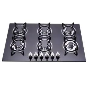 Built in 6 burner Stainless Steel Double burner Gas Stove Hob Two Plates Stove Surface Utensils Free Conversion of Gas Types