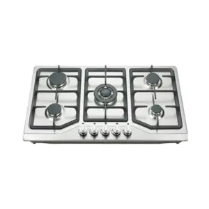 Built in 5 burner 220 v Gas Stove LPG LNG Universal Stove Home Stainless Steel Electronic Ignition Household Kitchen Cooker