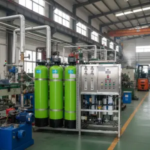 1000L/Hour RO Plant Reverse Osmosis Water Purification System Pump PLC ISO9001 CE Certified Automatic Operation for Chemical