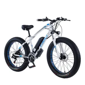 Taoci 36V 350W 10Ah Electric City Commuter Bike | Smooth & Comfortable Ride | Efficient, Eco-Friendly Daily Commuting E-Bike
