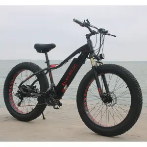 2025 Akez 29" 48V 500W 13ah Electric Commuter Bike off-Road Capable New Design