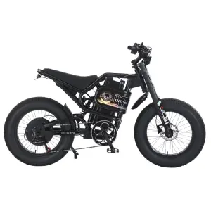 AKEZ S300 60V 3000W High Power Electric Bike High Carbon Steel Frame Dual Suspension 25Ah Long Range