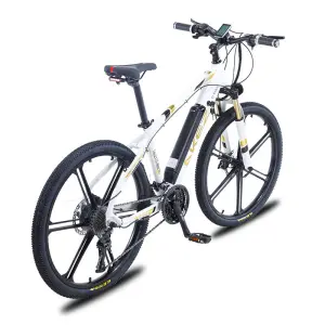 AKEZ 001 36V 350W 10Ah Electric Bike | CE Certified | High-Traction Tires | Sporty & Cost-Effective Fitness E-Bike