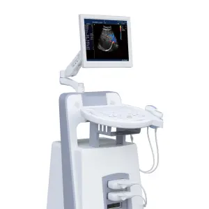 Portable 3D 4D Ultrasound for Medical Diagnostic Imaging Center Using Color Ultrasound for Gynecology